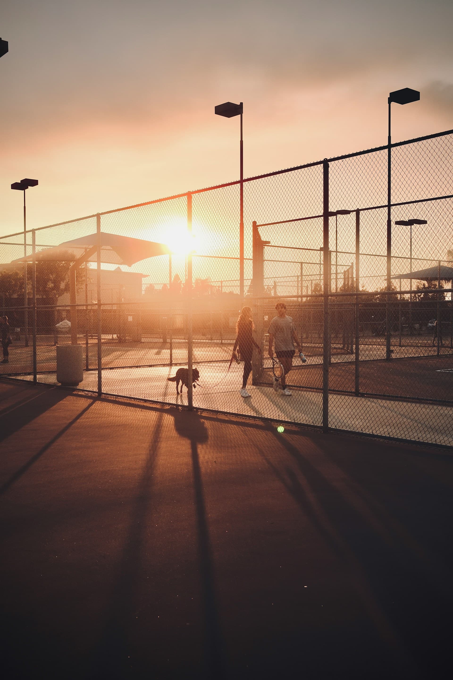 Professional coaching session